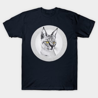 Caracal Portrait in mono and selective color digital art T-Shirt